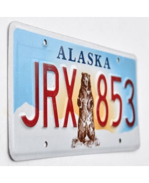Americká SPZ Alaska Grizzly Bear JRX 853