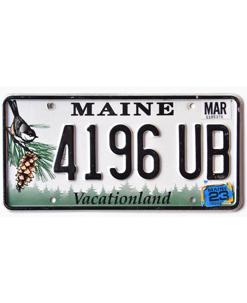 Americká SPZ Maine Chickadee 4196 UB