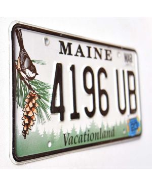 Americká SPZ Maine Chickadee 4196 UB