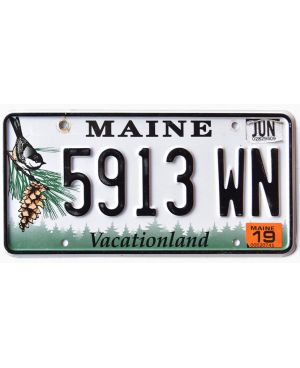 Tablica rejestracyjna USA Maine Chickadee 5913 WN