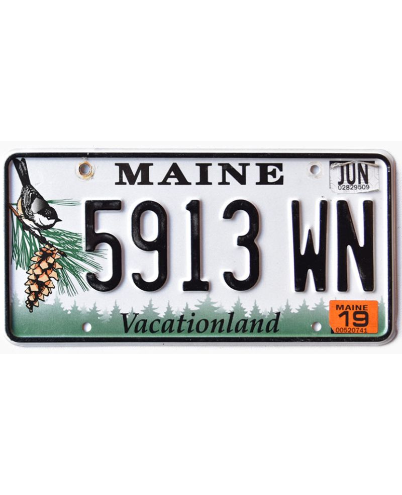 Americká SPZ Maine Chickadee 5913 WN