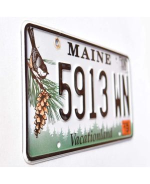 Americká SPZ Maine Chickadee 5913 WN