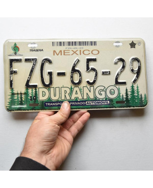 Meksykańska tablica rejestracyjna Durango Forest FZG-65-29