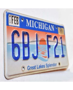 Tablica rejestracyjna USA Michigan Great Lakes Splendor 6BJ F21