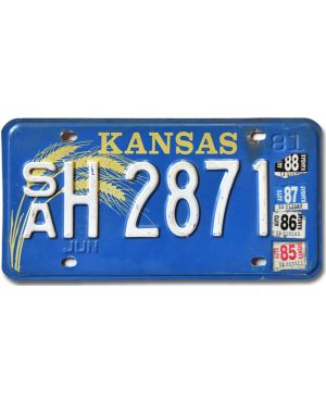 Tablica rejestracyjna USA Kansas Blue Wheat SAH 2871