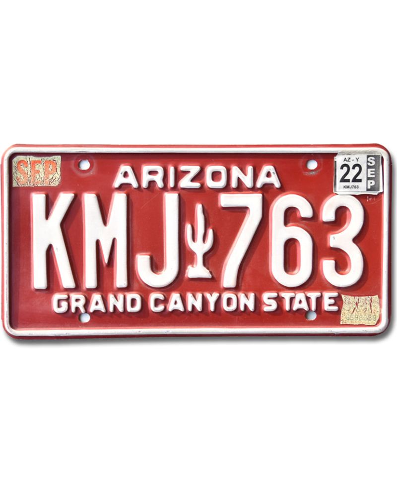Tablica rejestracyjna USA Arizona Red Cactus KMJ 763