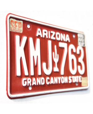 Americká SPZ Arizona Red Cactus KMJ 763