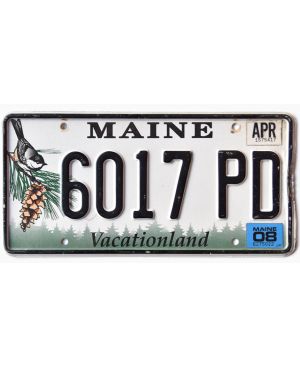 Tablica rejestracyjna USA Maine Chickadee 6017 PD