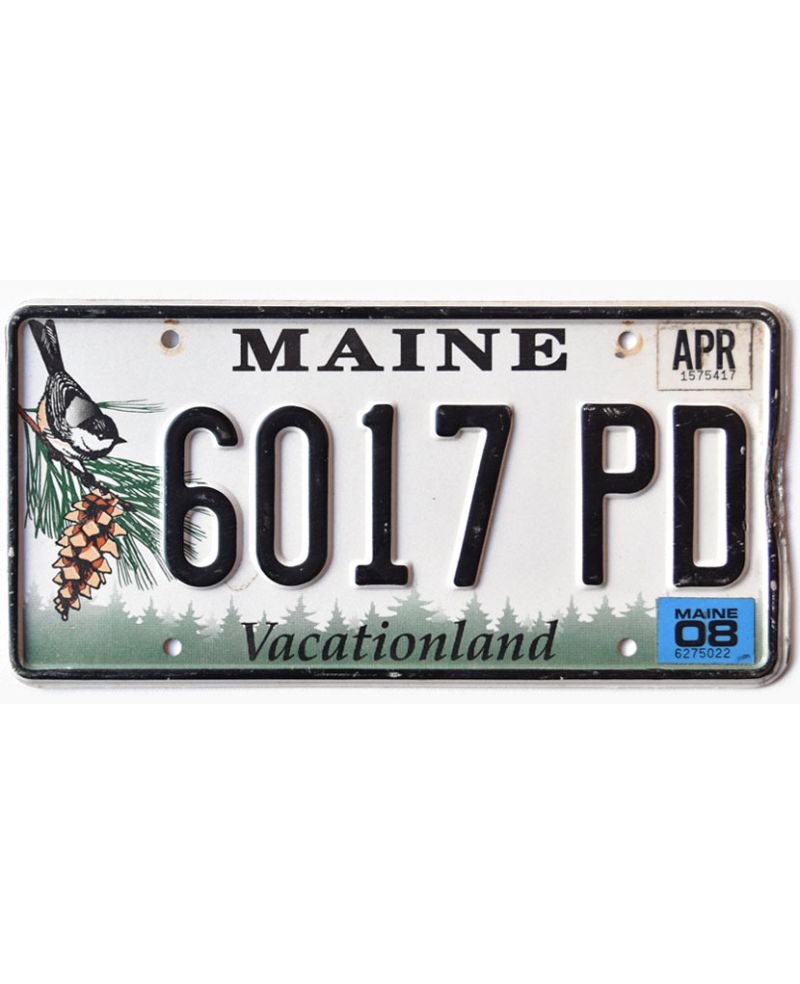 Americká SPZ Maine Chickadee 6017 PD