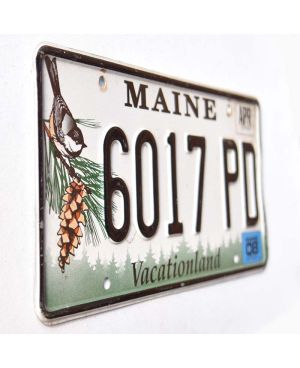 Americká SPZ Maine Chickadee 6017 PD