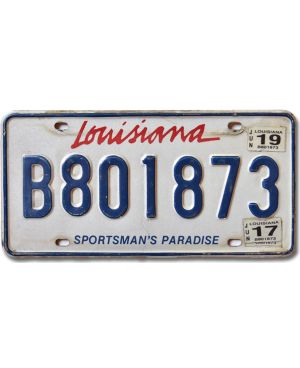 Tablica rejestracyjna USA Paradise Truck B801873