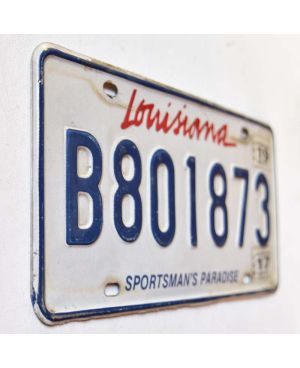 Tablica rejestracyjna USA Paradise Truck B801873