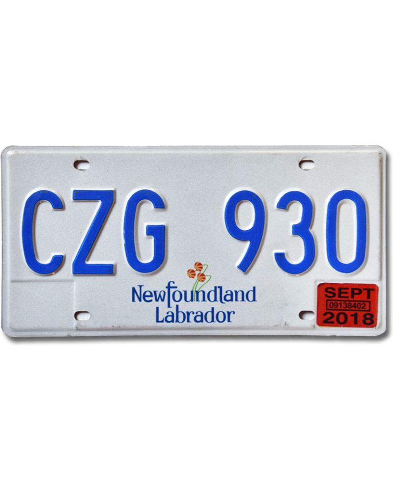 Kanadyjska tablica rejestracyjna Newfoundland Labrador CZG 930