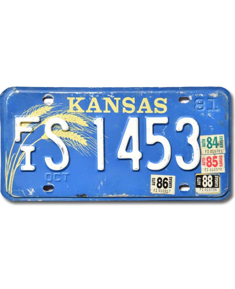Tablica rejestracyjna USA Kansas Blue Wheat FIS 1453