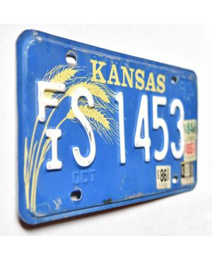 Tablica rejestracyjna USA Kansas Blue Wheat FIS 1453