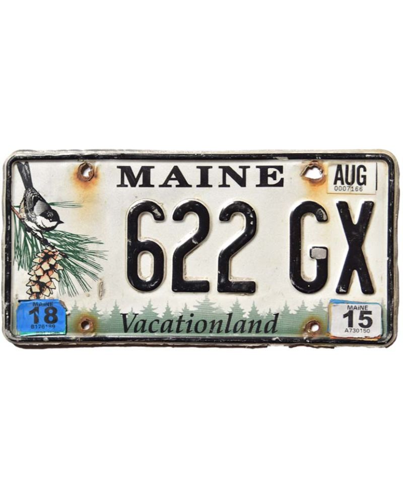 Americká SPZ Maine Chickadee 622 GX