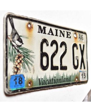 Tablica rejestracyjna USA Maine Chickadee 622 GX