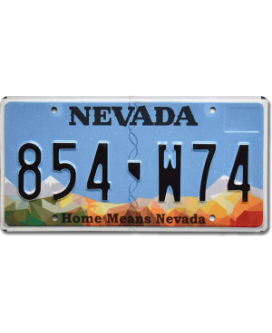 Tablica rejestracyjna USA Nevada Home Means