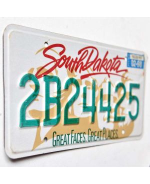 Tablica rejestracyjna USA South Dakota Great Faces