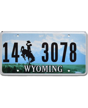 Tablica rejestracyjna USA Wyoming Green Landscape