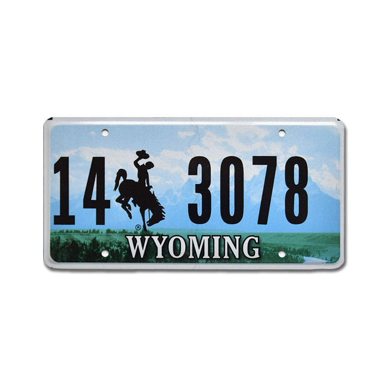 Tablica rejestracyjna USA Wyoming Green Landscape