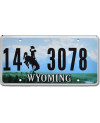 Tablica rejestracyjna USA Wyoming Green Landscape