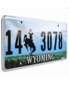 Tablica rejestracyjna USA Wyoming Green Landscape