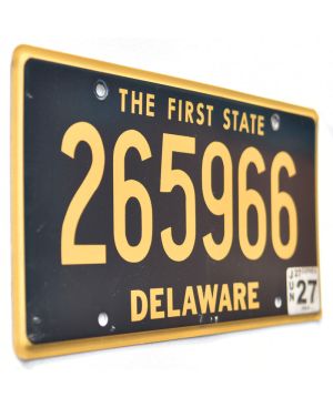 Americká SPZ Delaware The First State Blue 265966