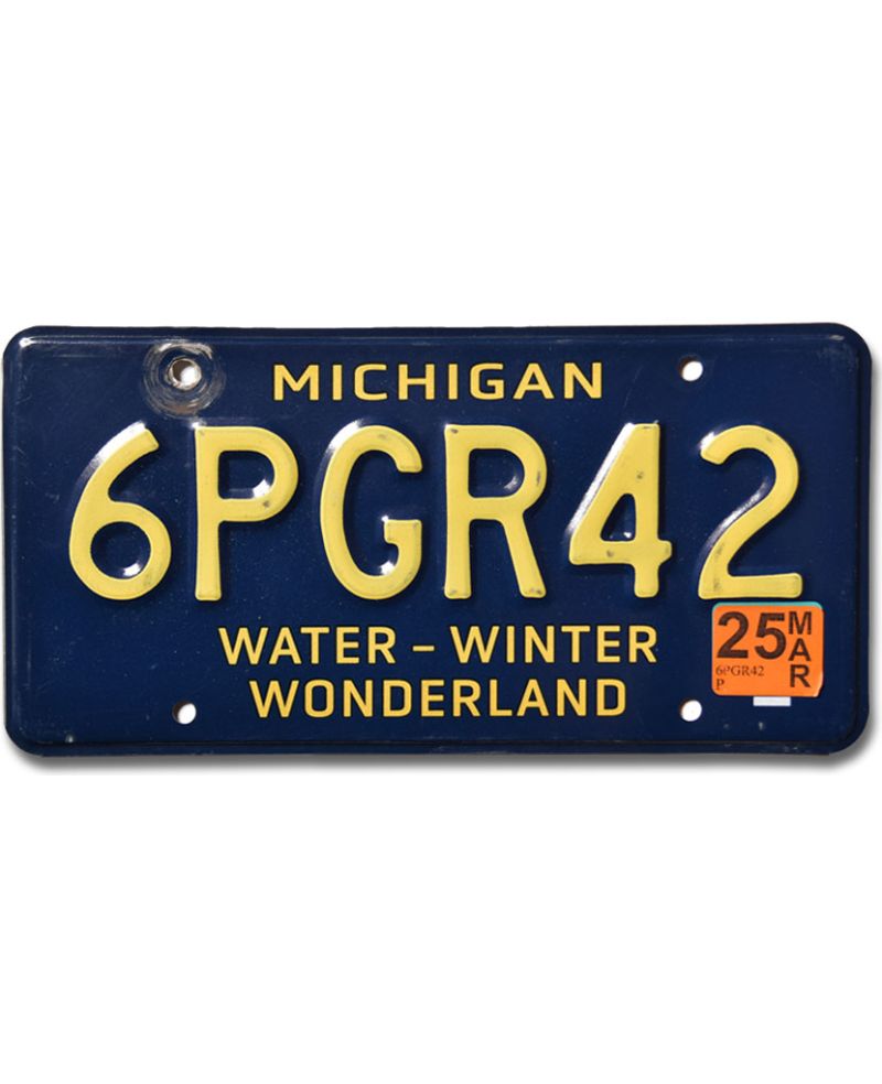 Tablica rejestracyjna USA Michigan Water Wonderland 6PGR42