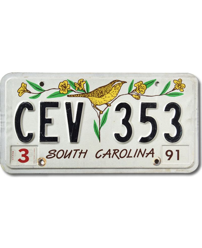 Americká SPZ South Carolina 1991 Bird CEV 353