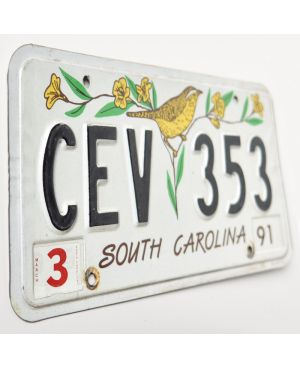 Americká SPZ South Carolina 1991 Bird CEV 353