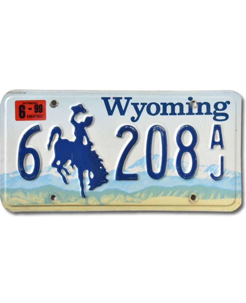 Tablica rejestracyjna USA Wyoming Blue Bronco 6-208AJ
