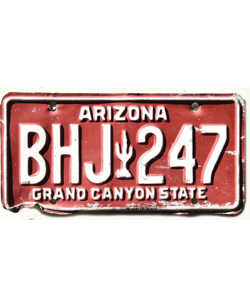 Americká SPZ Arizona Red Cactus BHJ 247