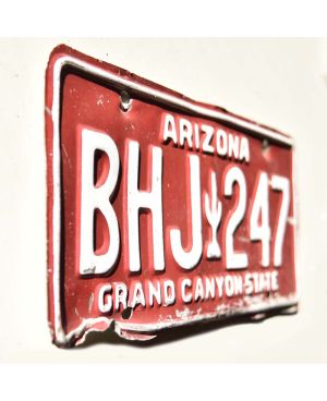 Americká SPZ Arizona Red Cactus BHJ 247