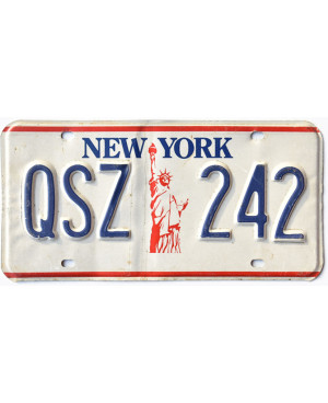 Tablica rejestracyjna USA New York Liberty QSZ 242