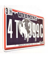 Tablica rejestracyjna USA Wyoming Black Bison