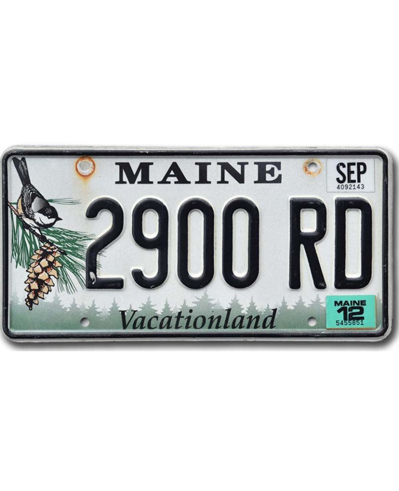 Tablica rejestracyjna USA Maine Chickadee 2900 RD