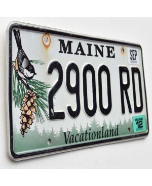 Tablica rejestracyjna USA Maine Chickadee 2900 RD