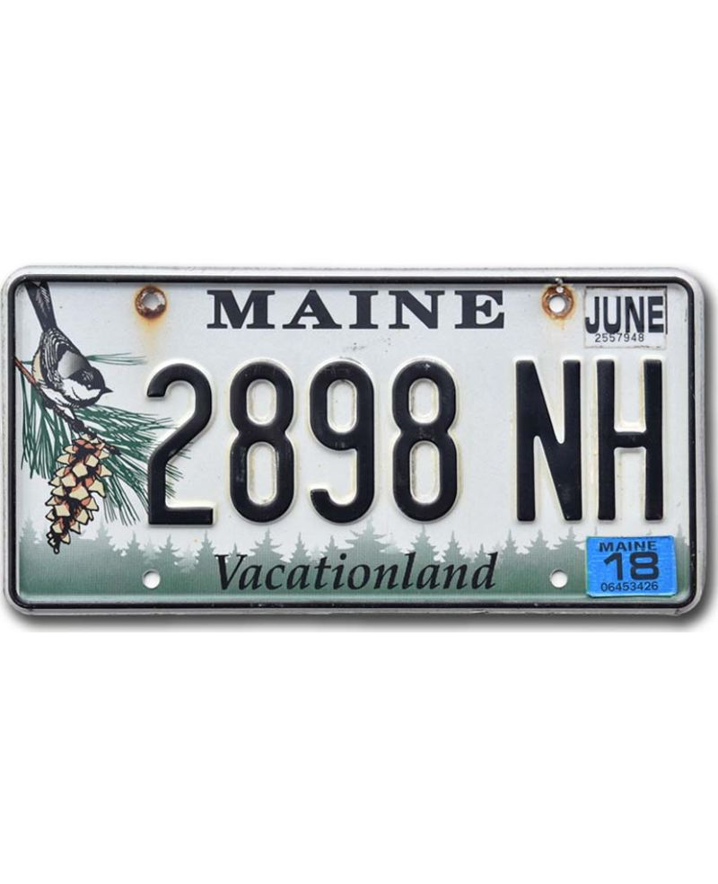 Tablica rejestracyjna USA Maine Chickadee 2898 NH