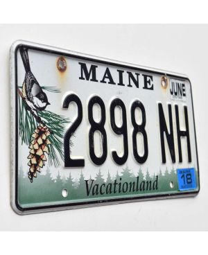 Tablica rejestracyjna USA Maine Chickadee 2898 NH