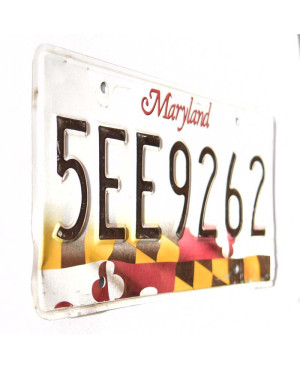 Tablica rejestracyjna USA Maryland Flag 5EE9262