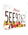 Tablica rejestracyjna USA Maryland Flag 5EE9262