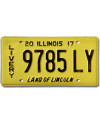 Tablica rejestracyjna USA Illinois 2017 Livery 9785LY