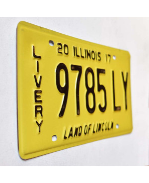 Tablica rejestracyjna USA Illinois 2017 Livery 9785LY