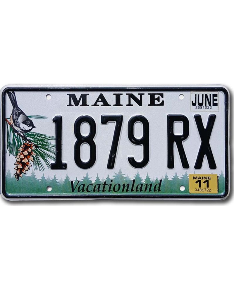 Tablica rejestracyjna USA Maine Chickadee 1879 RX