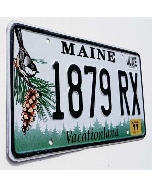 Tablica rejestracyjna USA Maine Chickadee 1879 RX