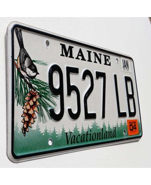 Tablica rejestracyjna USA Maine Chickadee 9527 LB