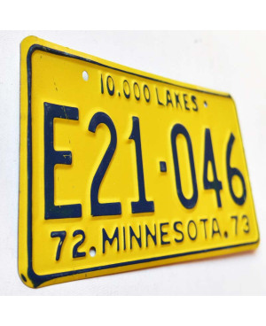 Tablica rejestracyjna USA Minnesota 1972 Truck E21-046