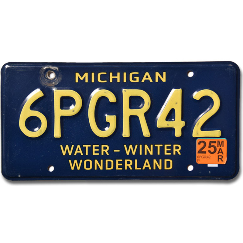 Tablica rejestracyjna USA Michigan Water Wonderland 6PGR42