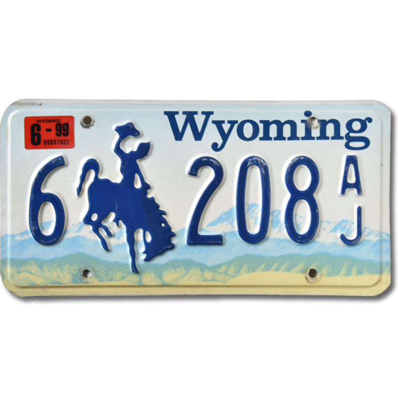 Tablica rejestracyjna USA Wyoming Blue Bronco 6-208AJ